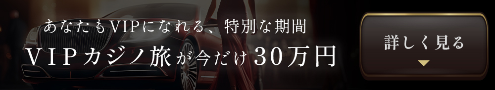 30万円プラン